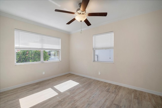 910 Spindle Palm Way, Apollo Beach, FL 33572 - photo 10