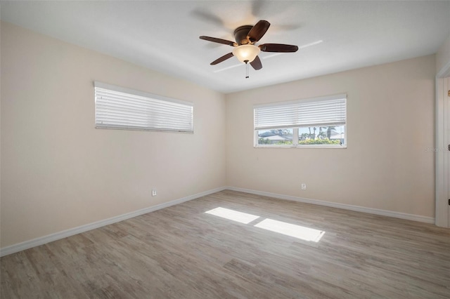 910 Spindle Palm Way, Apollo Beach, FL 33572 - photo 25