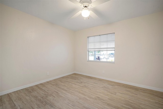 910 Spindle Palm Way, Apollo Beach, FL 33572 - photo 30