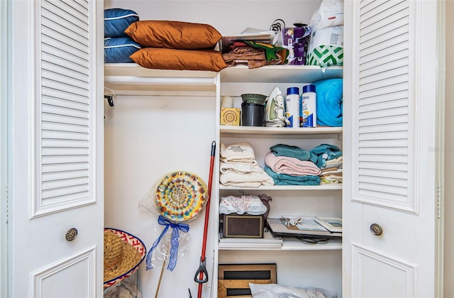 view of closet