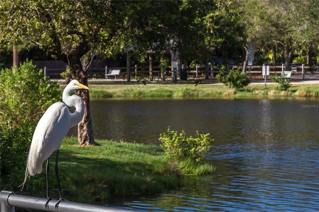 view of home's community featuring a water view