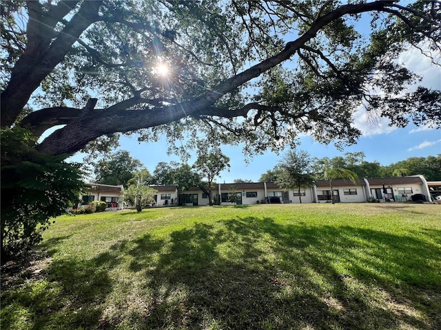 view of yard with a garage