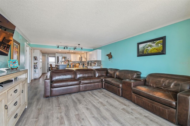 living room featuring light wood-type flooring, crown molding, and a textured ceiling