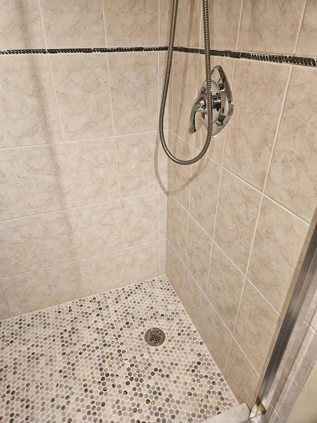 6035 Sea Ranch Dr Unit 505, Hudson, FL 34667 - bathroom view of tiled shower