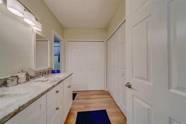 bathroom featuring hardwood / wood-style floors and vanity