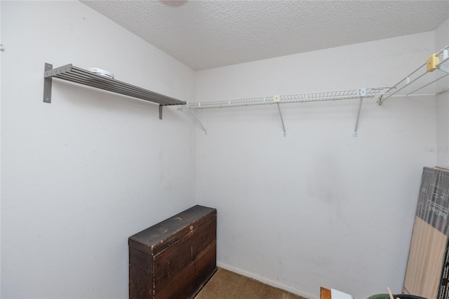 walk in closet featuring carpet flooring