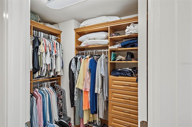 view of closet