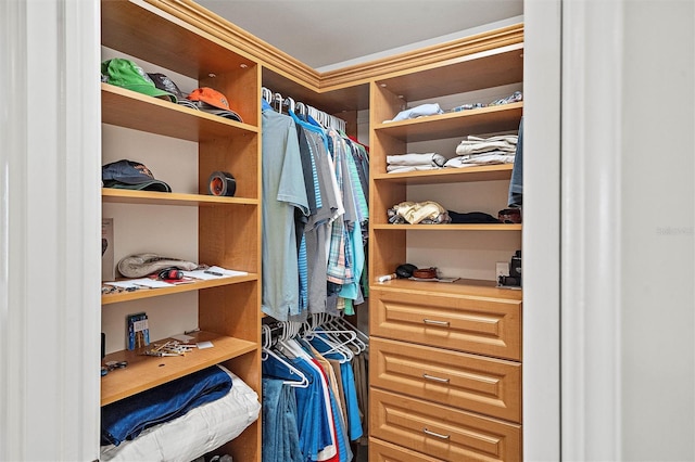 view of spacious closet