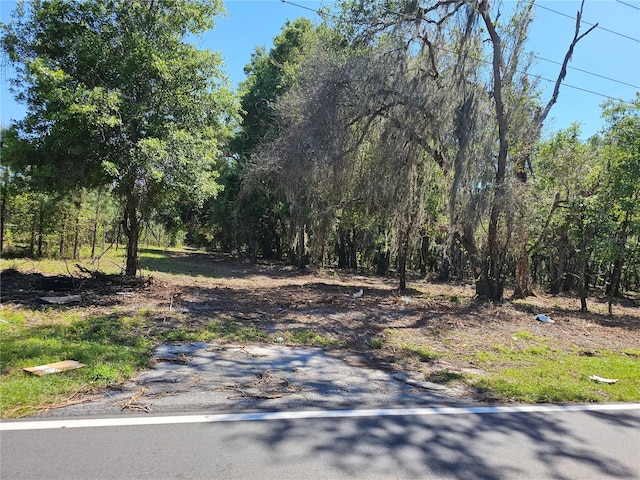 3.5ACRES Prospect Rd, Dade City FL, 33525 land for sale