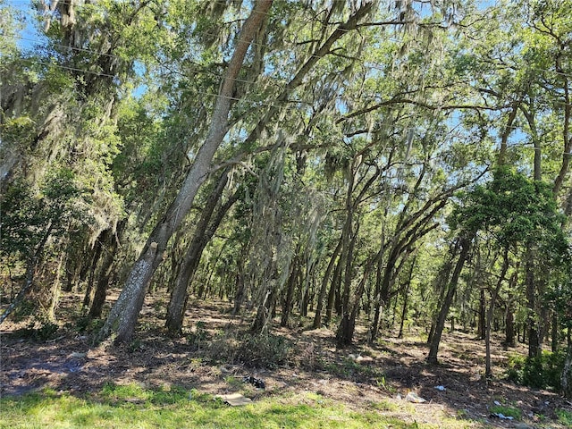 Listing photo 3 for 3.5ACRES Prospect Rd, Dade City FL 33525