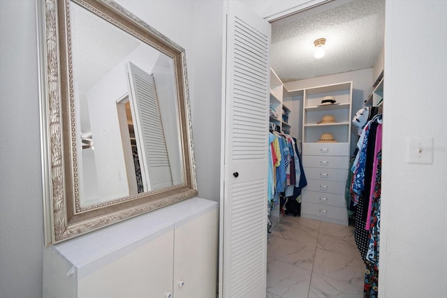 view of walk in closet