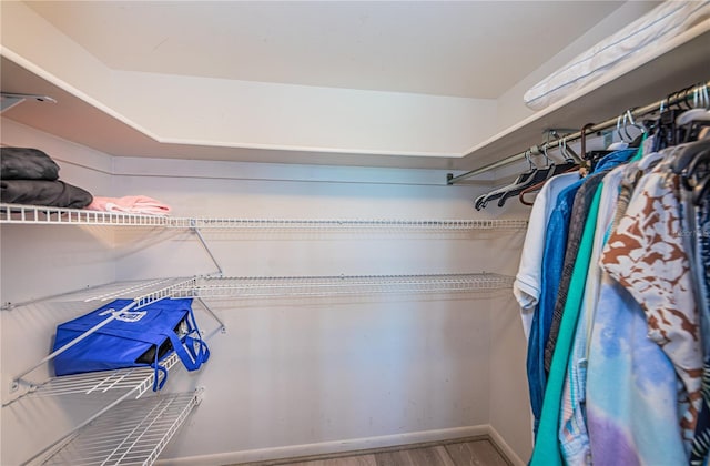 walk in closet with wood-type flooring