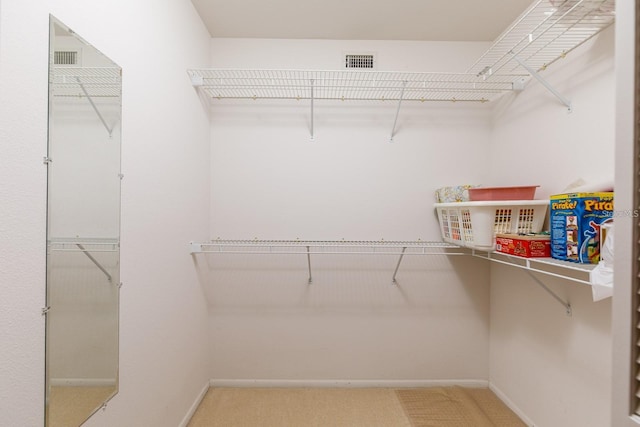 spacious closet with carpet flooring