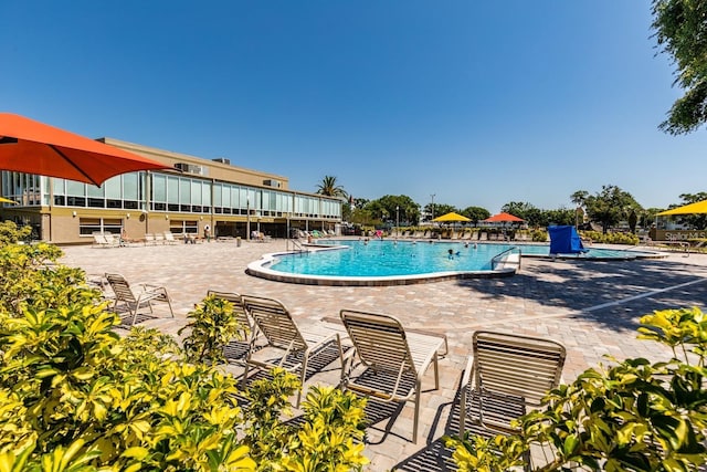 view of swimming pool featuring a patio area