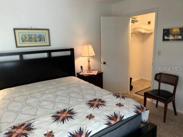 carpeted bedroom with a spacious closet and a closet