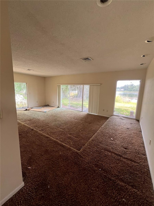 unfurnished room with carpet and a healthy amount of sunlight