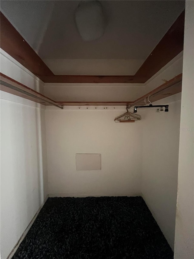 spacious closet featuring carpet flooring