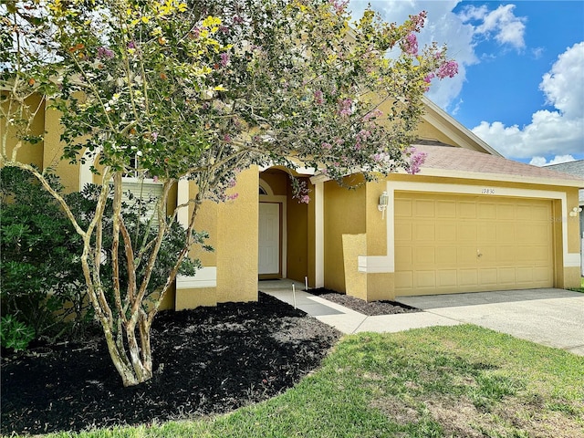 view of front facade featuring a garage