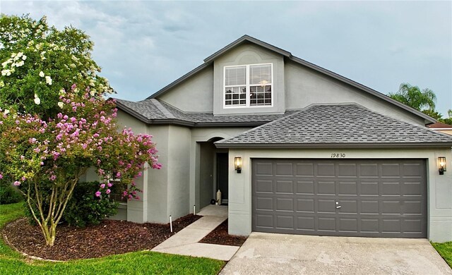19830 Ellendale Dr, Land O Lakes, FL 34638 - photo 25