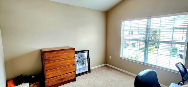 carpeted office with vaulted ceiling