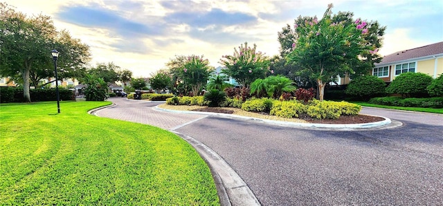 view of street