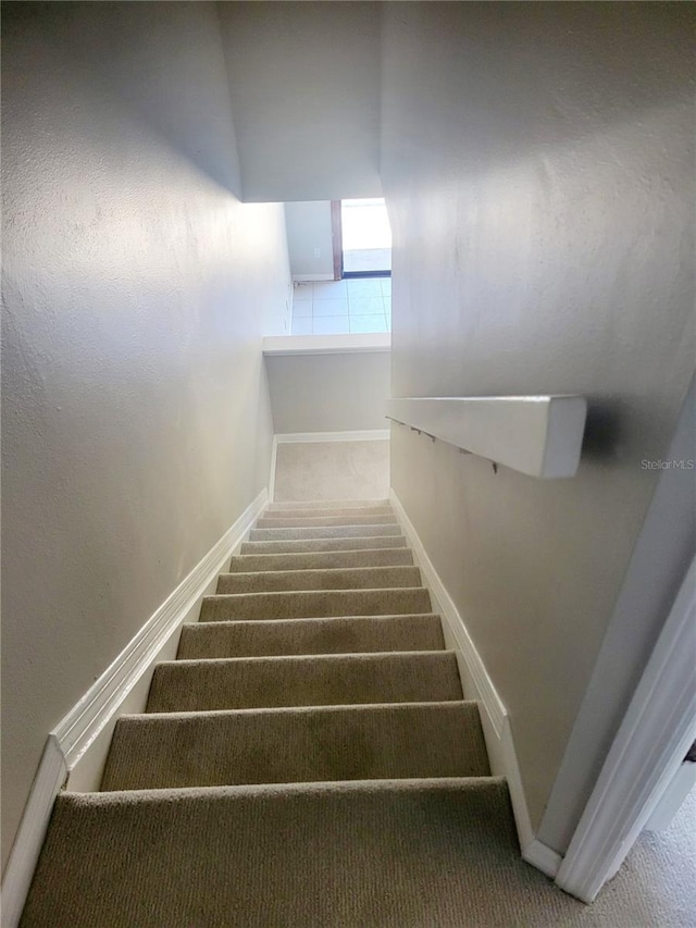 stairs with carpet flooring