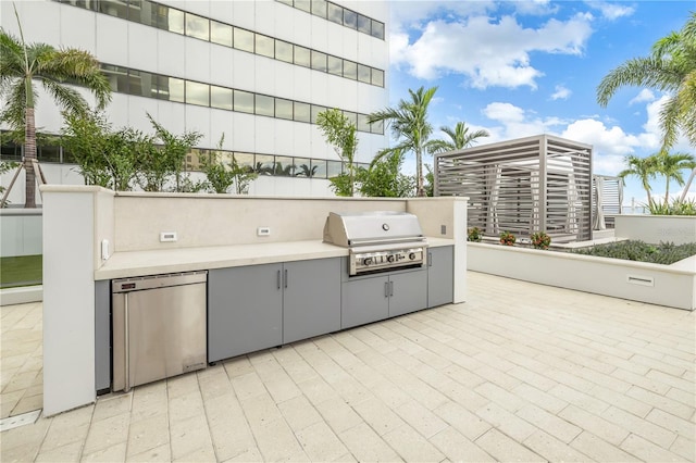 view of patio / terrace with grilling area and an outdoor kitchen