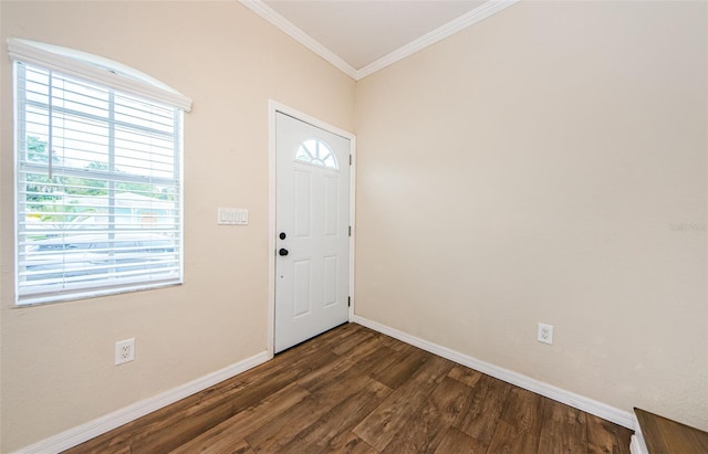 foyer featuring crown molding, plenty of natural light, and dark wood-type flooring