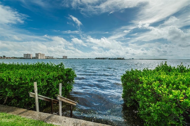 view of water feature