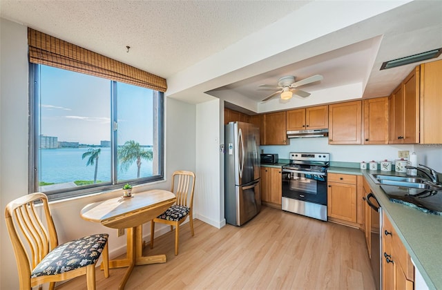 kitchen with a raised ceiling, appliances with stainless steel finishes, light hardwood / wood-style floors, a water view, and sink