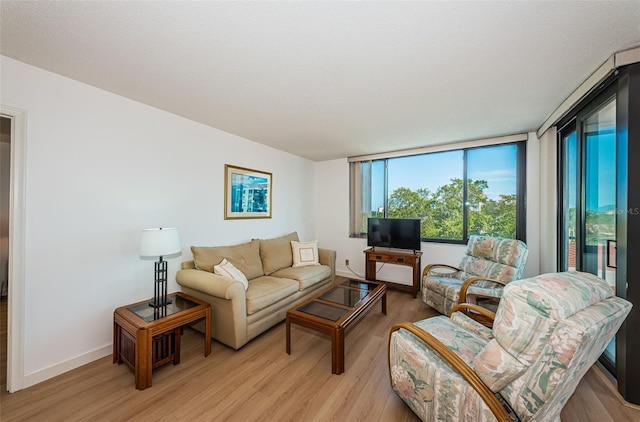 living room featuring light hardwood / wood-style flooring