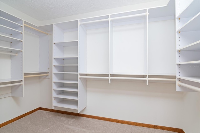 spacious closet featuring carpet