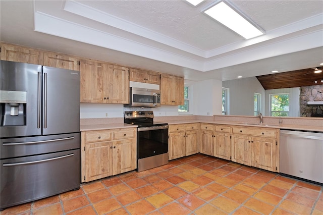 kitchen with plenty of natural light, sink, light brown cabinets, and stainless steel appliances