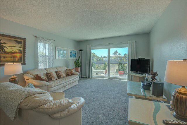 living room featuring carpet and a textured ceiling