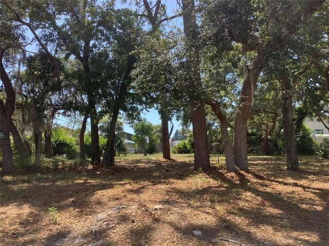 18657 White Pine Cir, Hudson, FL 34667 - photo 1