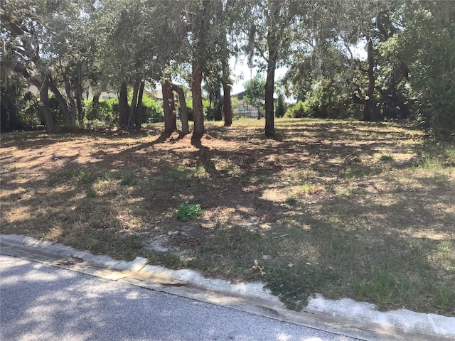 18657 White Pine Cir, Hudson, FL 34667 - photo 4