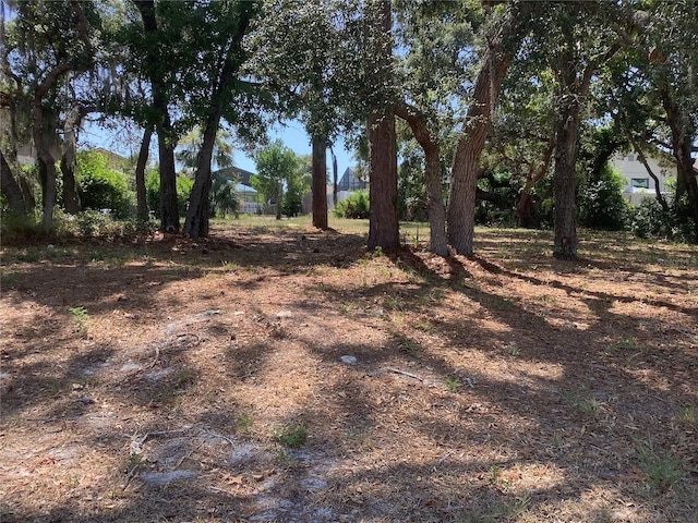 18657 White Pine Cir, Hudson, FL 34667 - photo 7