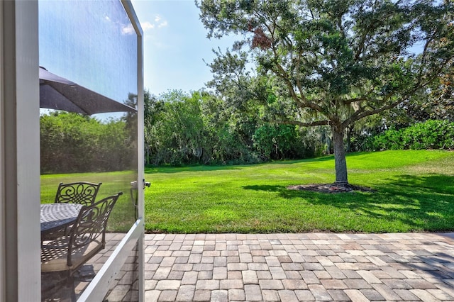 view of yard featuring a patio