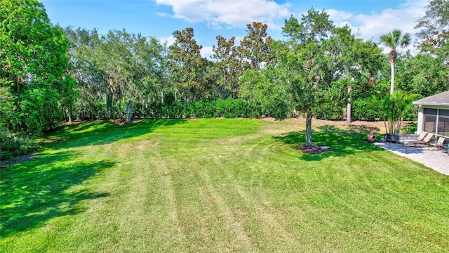 view of yard with a patio