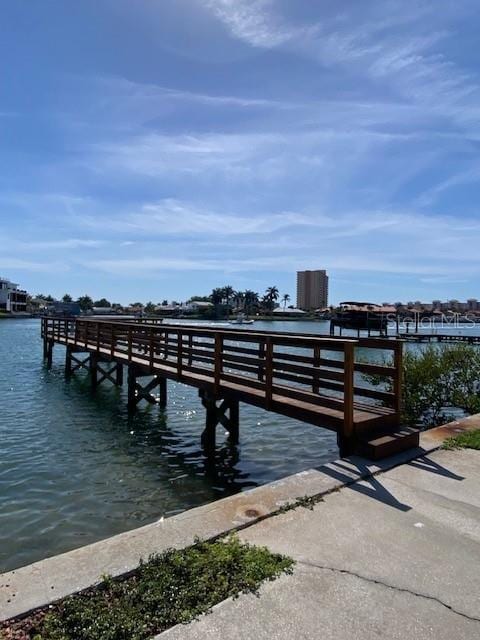 dock area with a water view