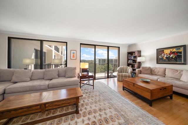 living area featuring light wood finished floors and crown molding