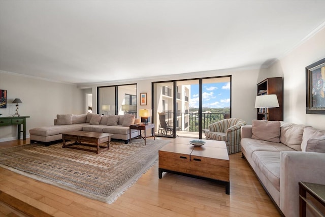 living room featuring ornamental molding and light wood-style flooring