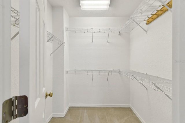 spacious closet featuring light colored carpet