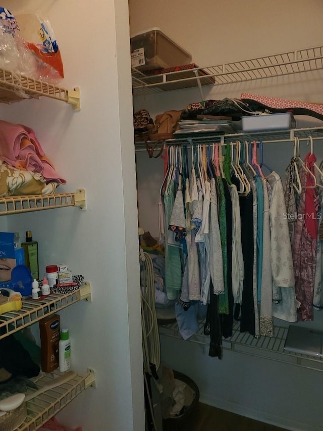 view of walk in closet