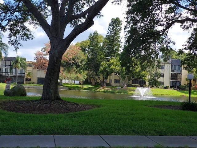 view of property's community with a water view and a lawn