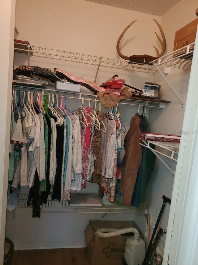 spacious closet featuring wood-type flooring