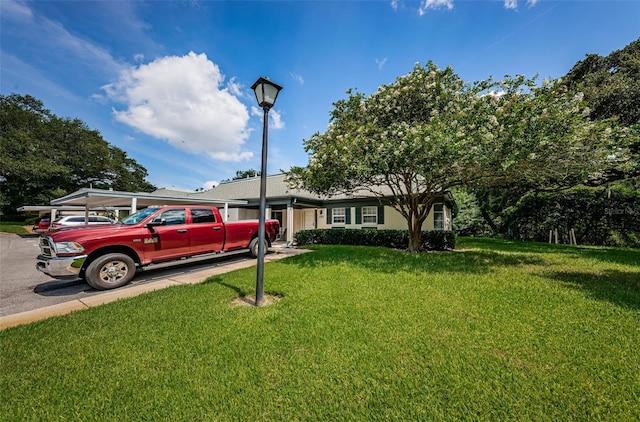 ranch-style house with a front yard