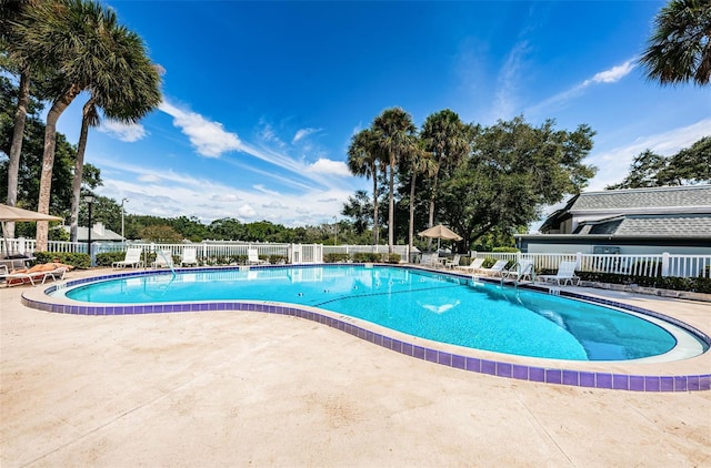 view of pool featuring a patio