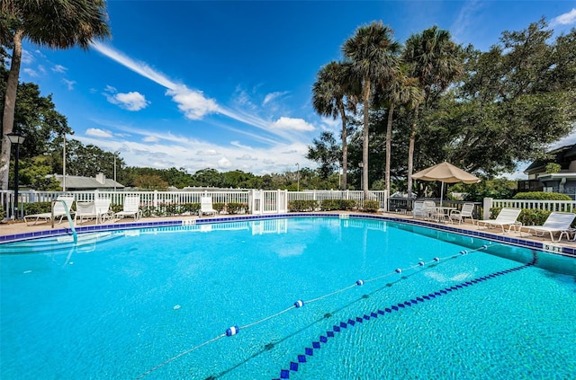 view of swimming pool