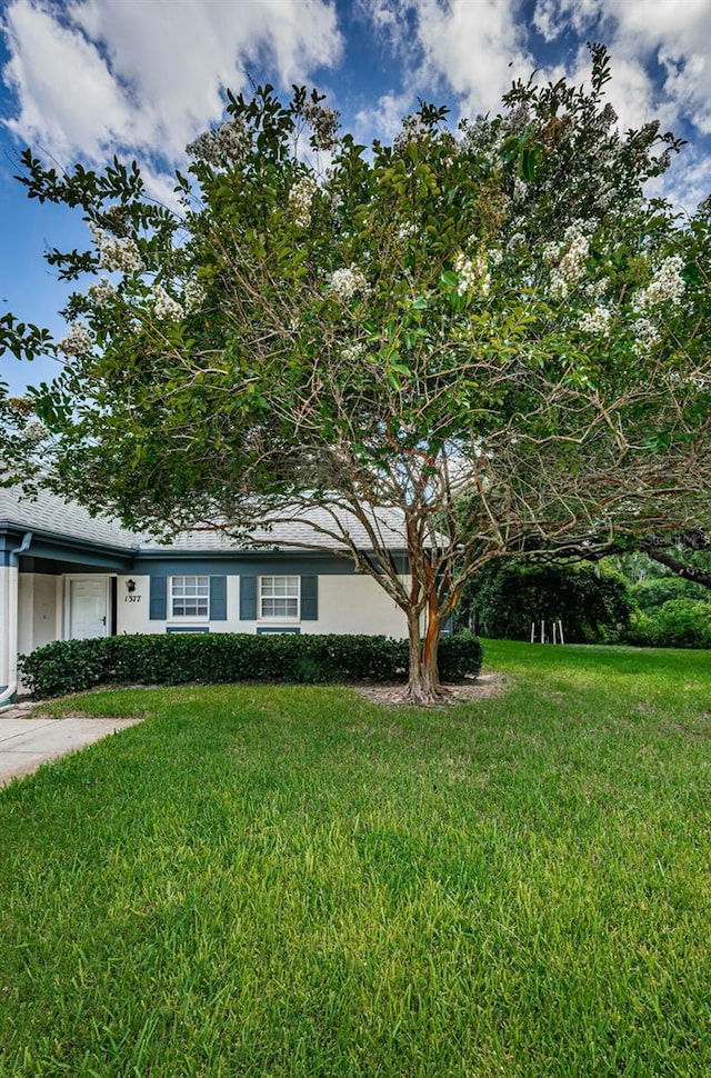 view of front of home featuring a front yard